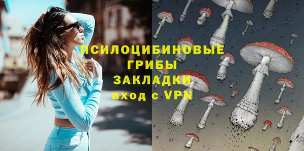 PSILOCYBIN Красноперекопск