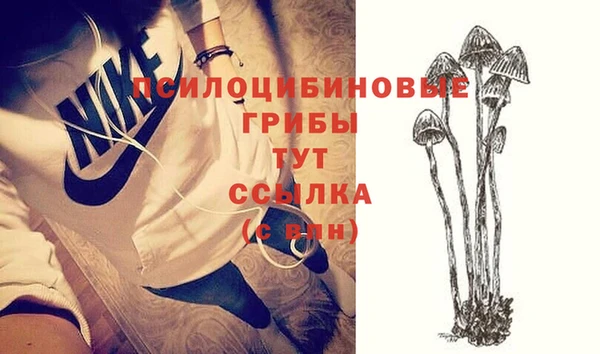 PSILOCYBIN Красноперекопск