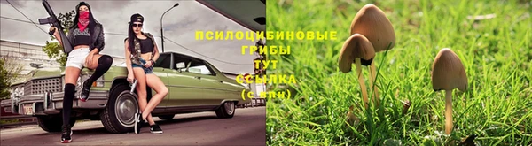 мяу мяу кристалл Кулебаки