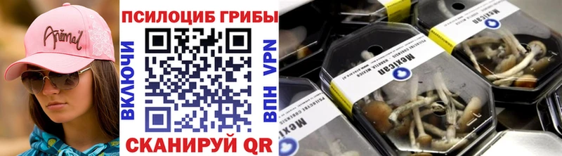 Купить закладки  Баймак  Галлюциногенные грибы мухоморы 